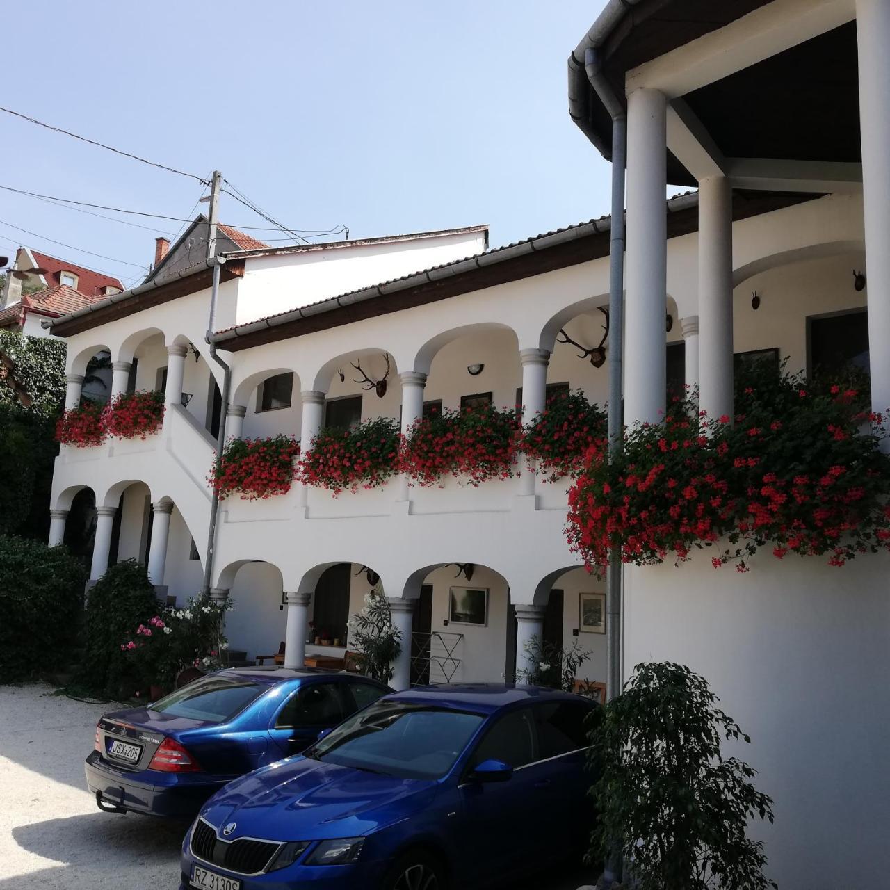 潘兹奥伊甸园住宿加早餐旅馆 埃格尔 外观 照片